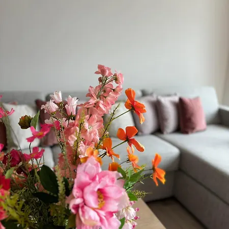 Daire Siltzicht Middelkerke